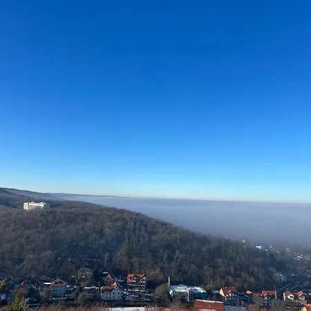 Apartament Osterallee *