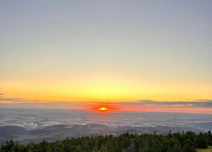 Apartament Osterallee Quedlinburg